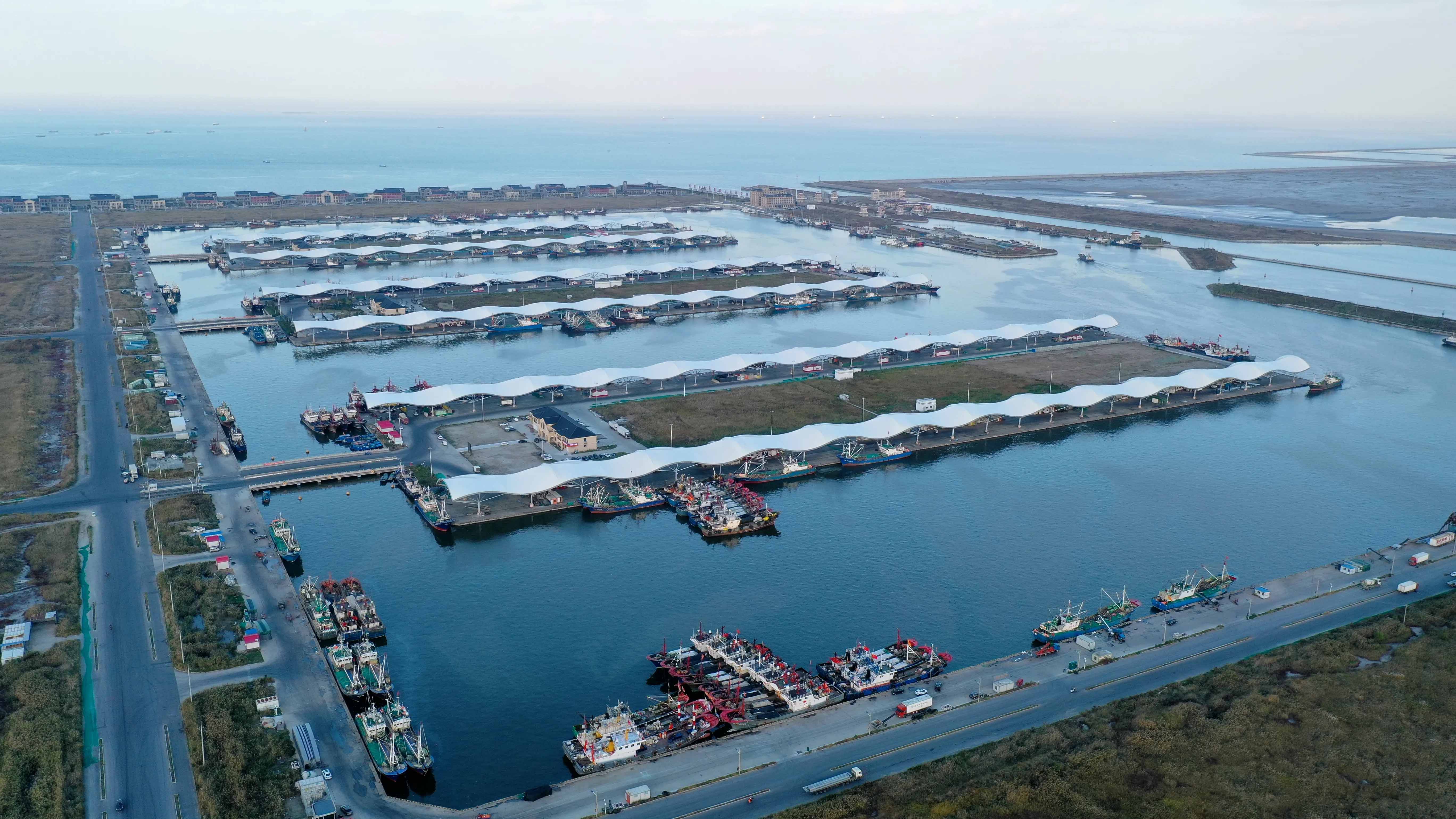 1768963541864485.jpg 1768963541864485.jpg